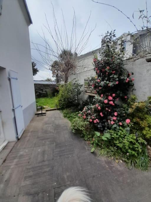 فيلا L'Octroi Nantes-6 Pers.-Jardin-Proche Tt Comm. المظهر الخارجي الصورة
